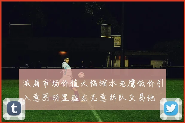 浓眉市场价值大幅缩水老鹰低价引入意图明显猛龙无意拆队交易他